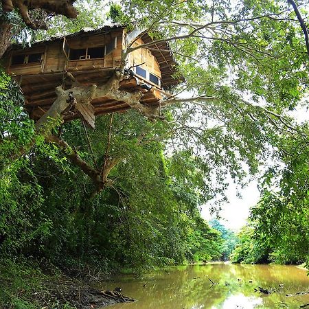 티사마하라마 Kumbuk Tree House 빌라 외부 사진