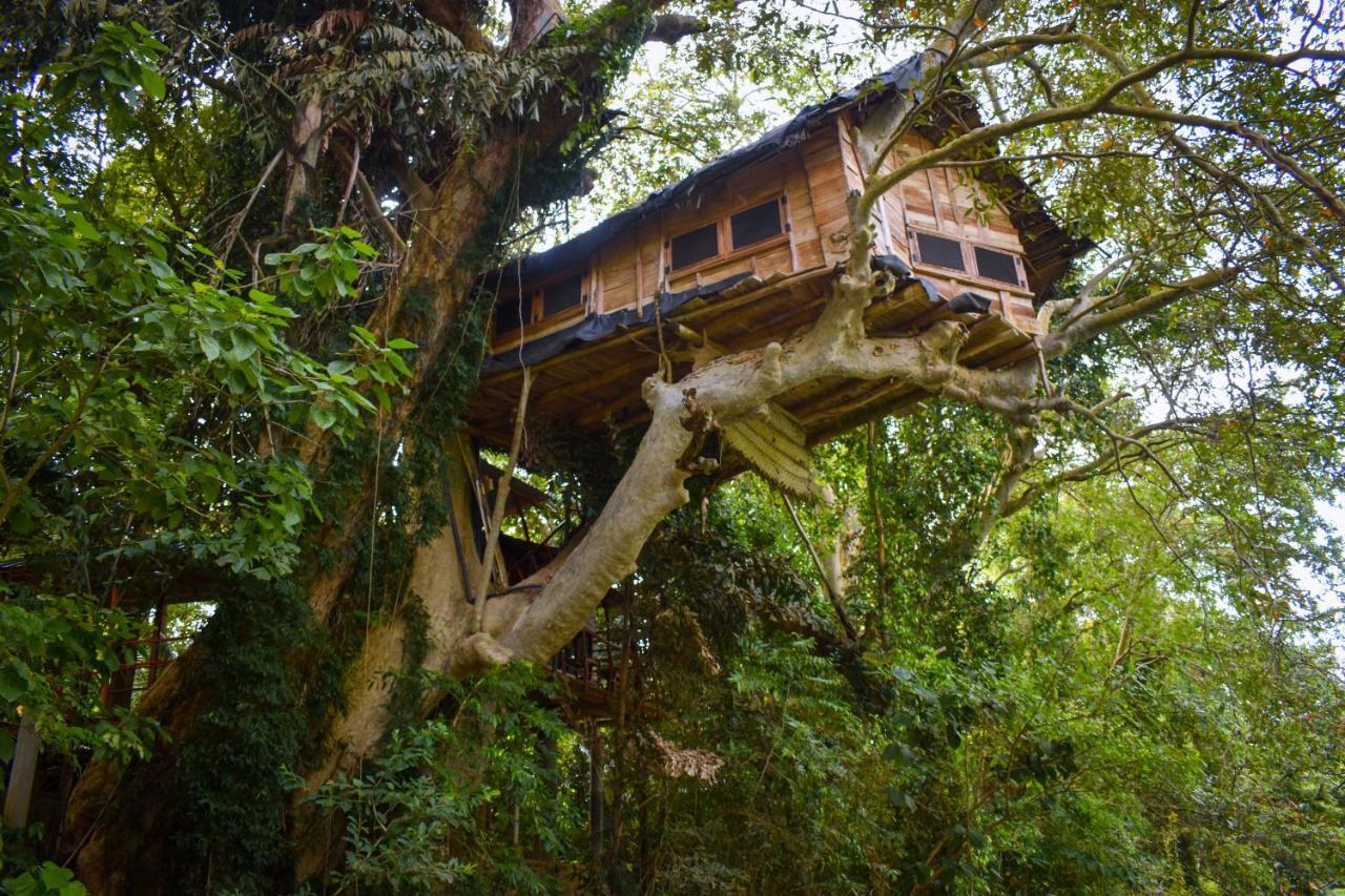 티사마하라마 Kumbuk Tree House 빌라 외부 사진